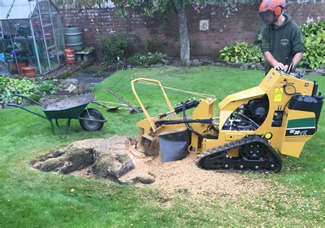Stump grinding service - We offer stump grinding services that are completely safe and the mulch can be left over the hole or spread around your landscaping. Every member of our team has the necessary training and knows the proper safety precautions for stump grinding. This will reduce the probability of an accident while grinding a stump at your home or business. 